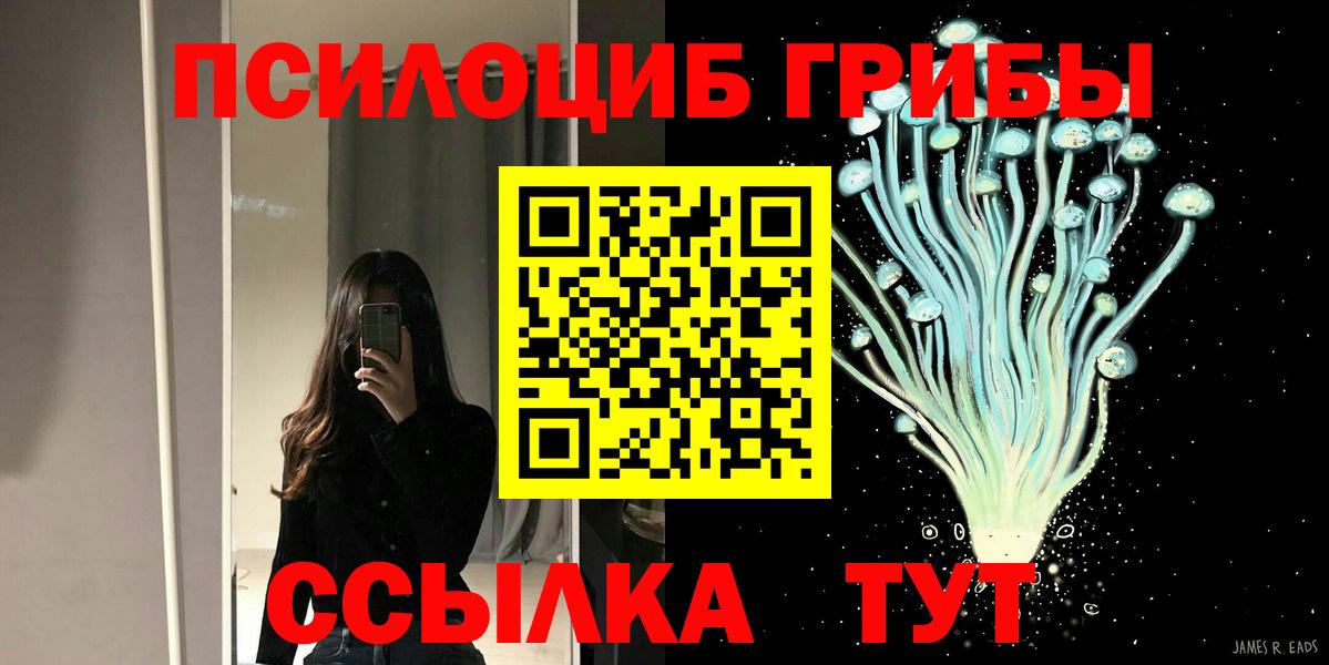 Нововоронеж  Псилоцибиновые грибы ЛСД  Вход с VPN 